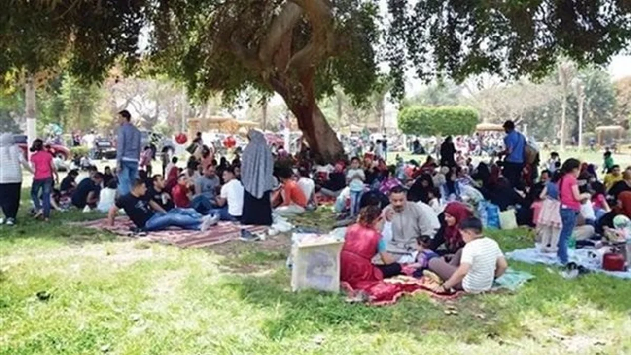 موعد الإجازة.. تحديد عطلة شم النسيم للقطاعين الحكومي والخاص في مصر